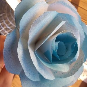 Meet your Posher, Bridgett